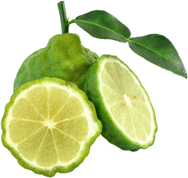 Citrus bergamot